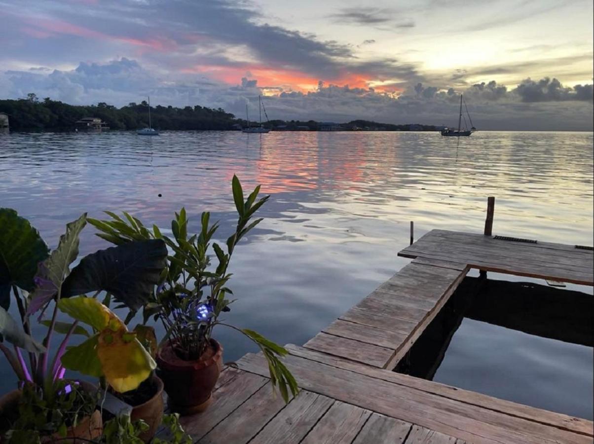 Villa Amaya โบกัสทาวน์ ภายนอก รูปภาพ