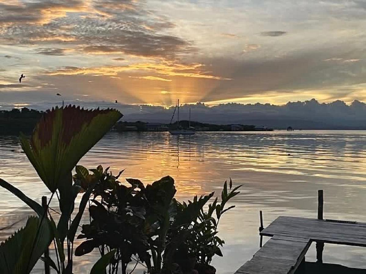 Villa Amaya โบกัสทาวน์ ภายนอก รูปภาพ